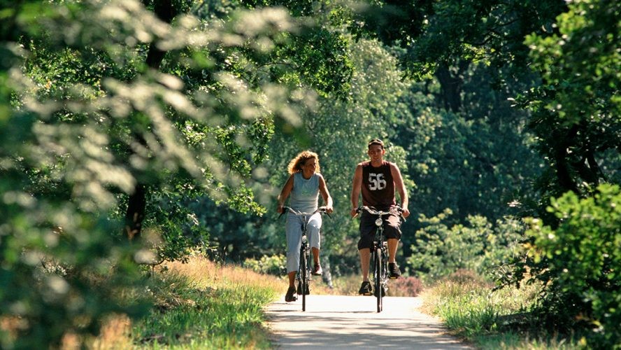 In de omgeving