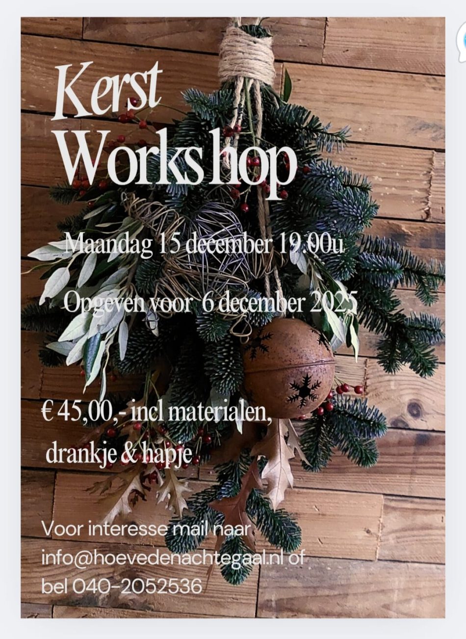 Kerst Workshop 15-12